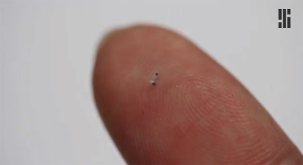 Tiny Robots Can Swim Through Human Body